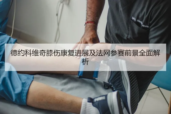 德约科维奇膝伤康复进展及法网参赛前景全面解析